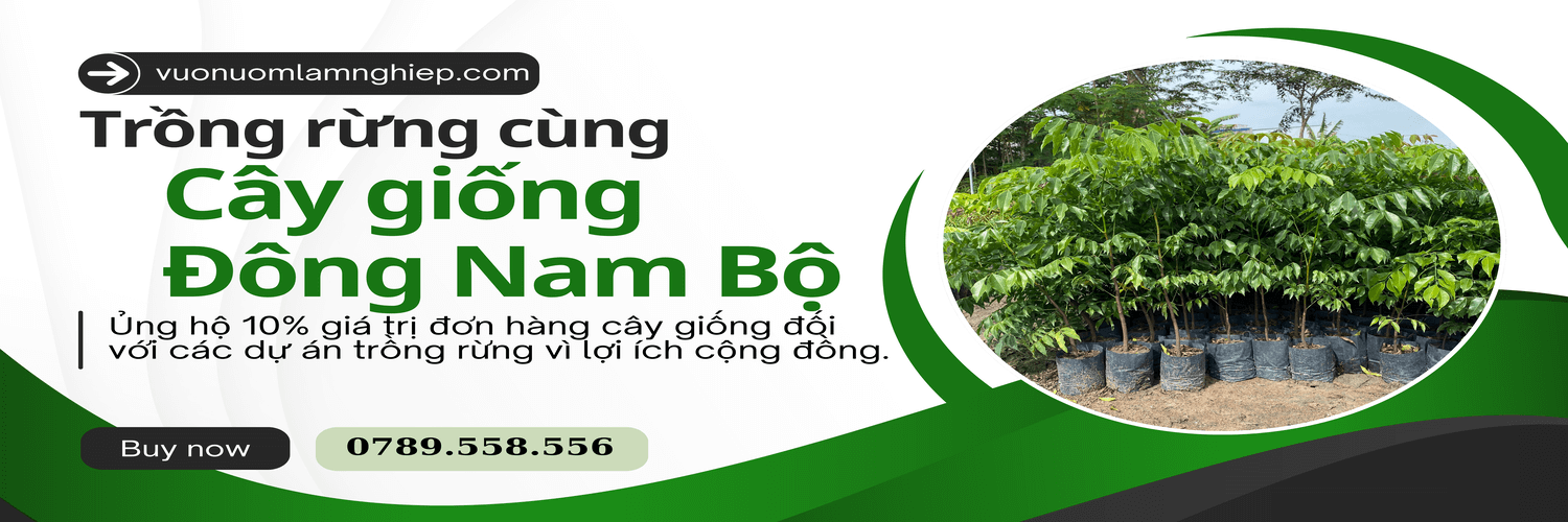 Trồng rừng cùng Cây giống Đông Nam Bộ