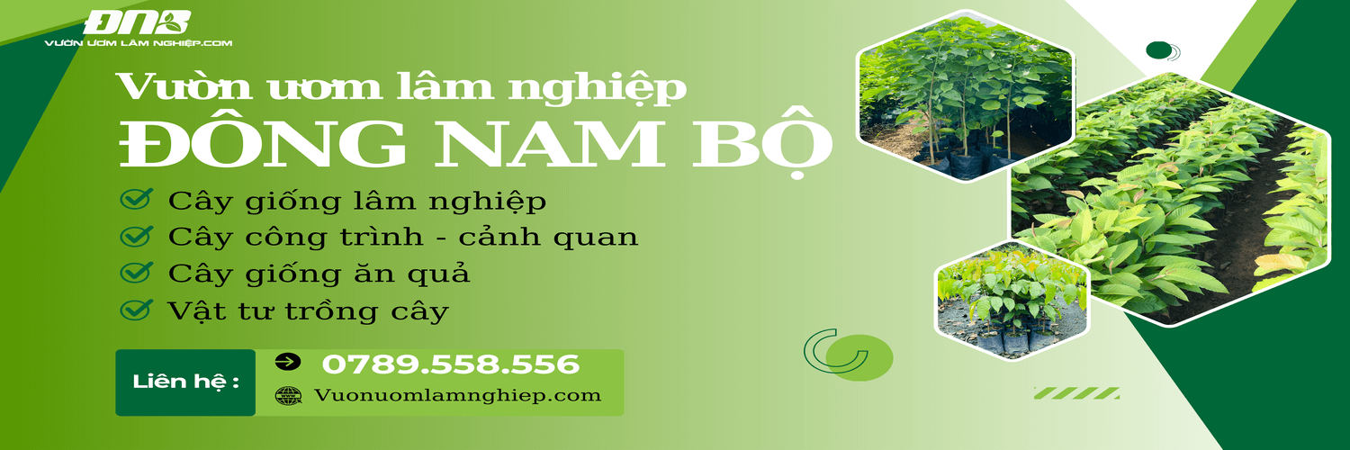 Địa chỉ cây giống Đông Nam Bộ